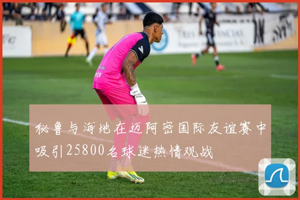 秘鲁与海地在迈阿密国际友谊赛中吸引25800名球迷热情观战